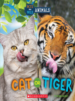 cover image of Cat or Tiger